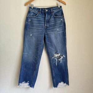 Abercrombie & Fitch Annie High Rise Ankle Straight Jeans Womens Sz 27 Button Fly